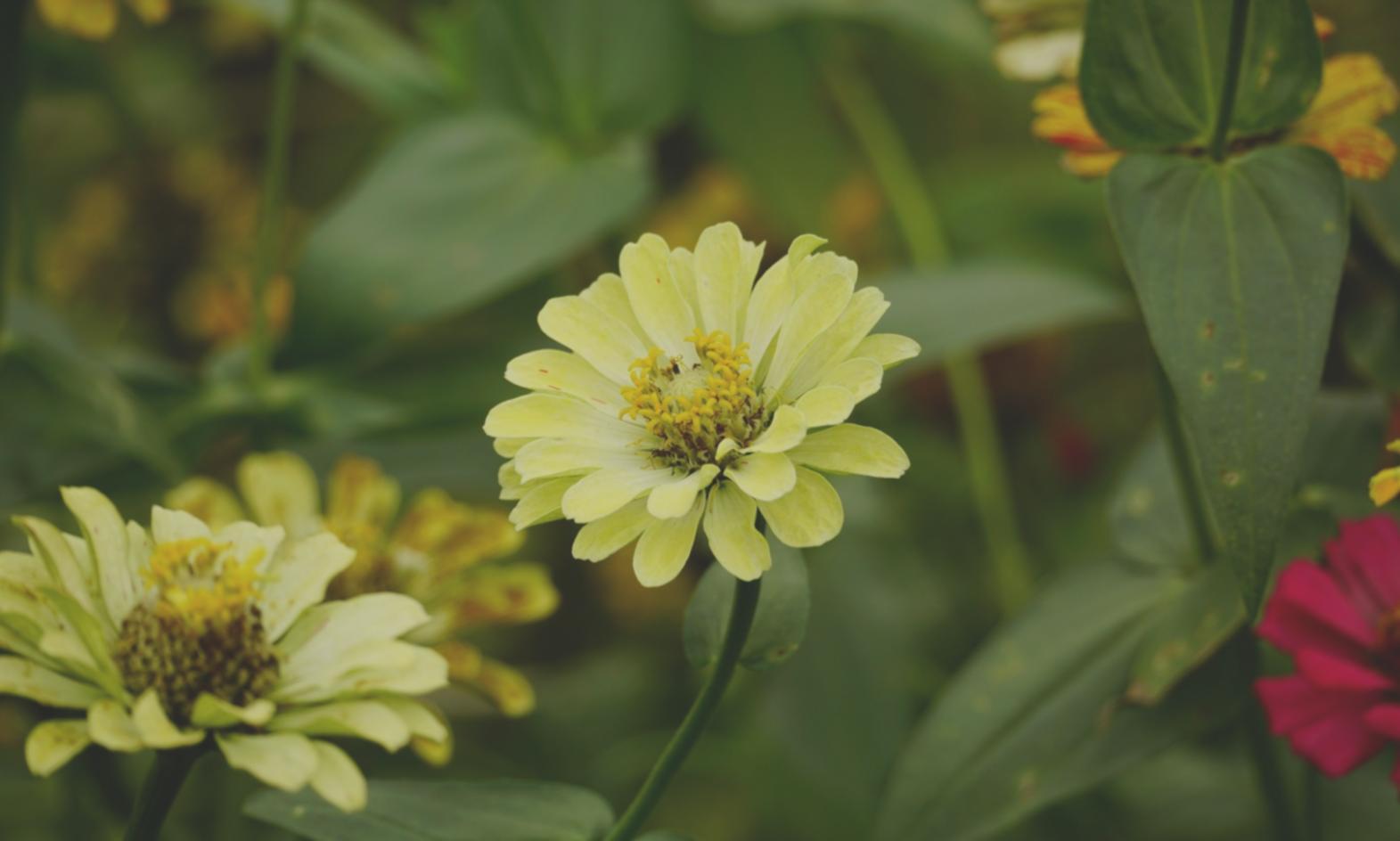 Работа с сезонными материалами